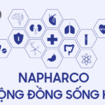 Trải Nghiệm Sức Khỏe Hiện Đại Cùng Dược Phẩm Napharco